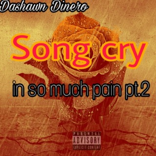 Song cry/in so much pain, Pt. 2