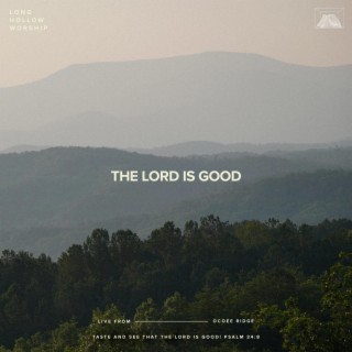 The Lord Is Good (Live) ft. JJ Hasulube lyrics | Boomplay Music