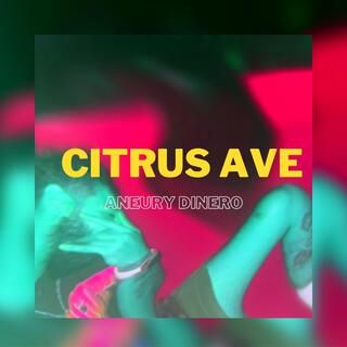 Citrus Ave