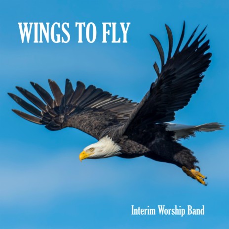 Wings To Fly | Boomplay Music