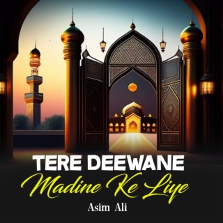 Tere Deewane Madine Ke Liye