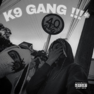 K9 Gang