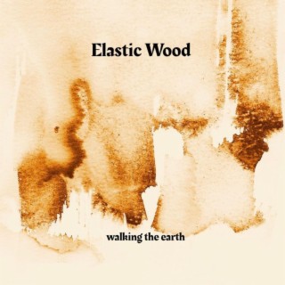 Elastic Wood