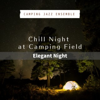 Chill Night at Camping Field - Elegant Night