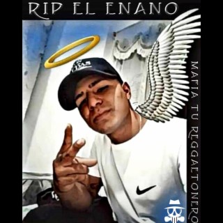 Rip el enano