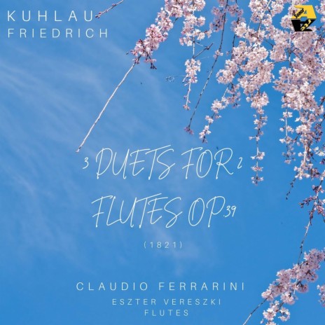 3 Grand Duets for 2 Flutes, Op. 39: III. Duo in D Major: I. Allegro scherzoso | Boomplay Music