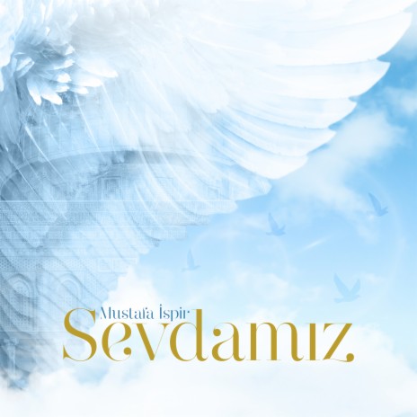 Sevdamız | Boomplay Music