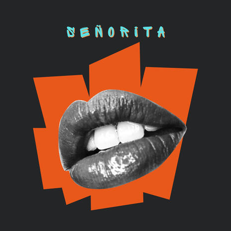 Señorita | Boomplay Music