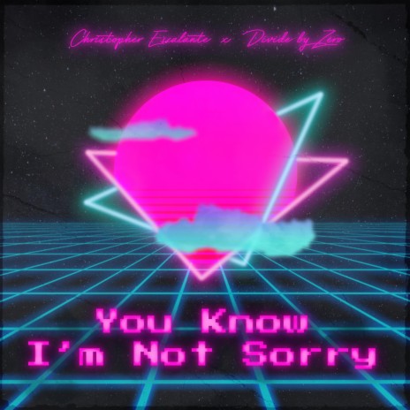 You Know I'm Not Sorry ft. Divide by Zero | Boomplay Music