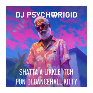 Shatta A Likkle Itch Pon Di Dancehall Kitty