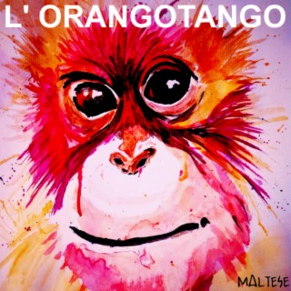 L'orangotango