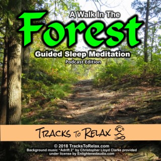 Forest Walk Sleep Meditation