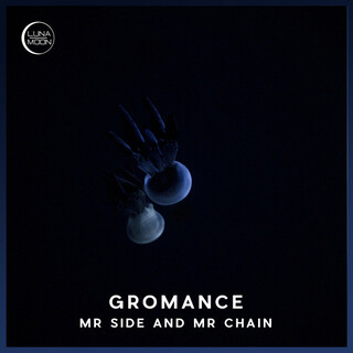 Mr Side and Mr Chain