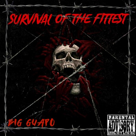 Survival Of The Fittest | Boomplay Music