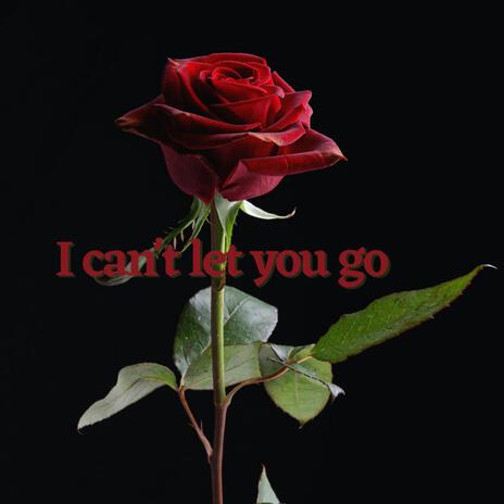 I can't let you go | Boomplay Music