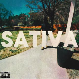 Sativa