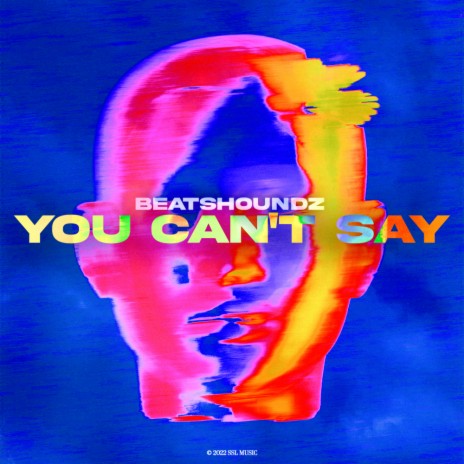 You Can't Say | Boomplay Music