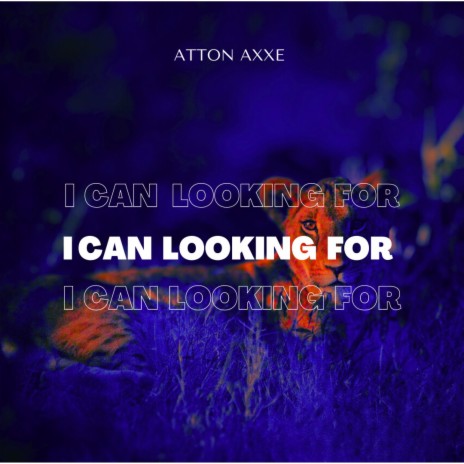 I CAN LOOKING FOR