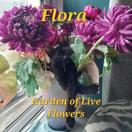 Flora | Boomplay Music