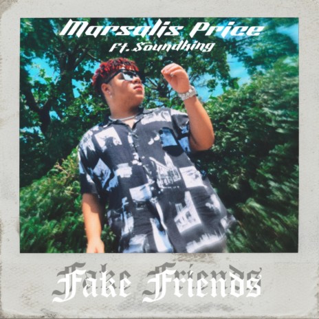 Fake Friends ft. $oundKing | Boomplay Music