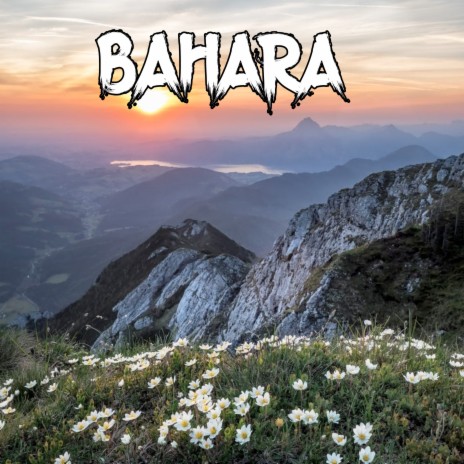 Bahara