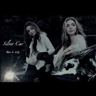 Silver Car