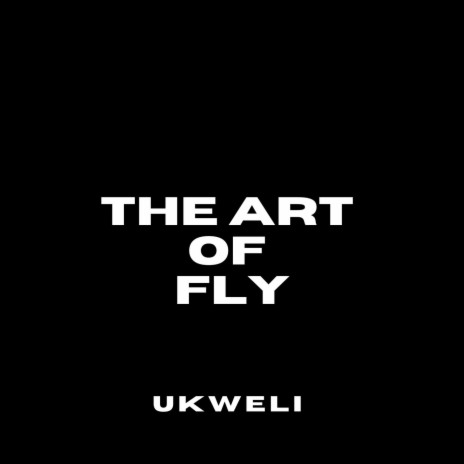 The Art of Fly | Boomplay Music