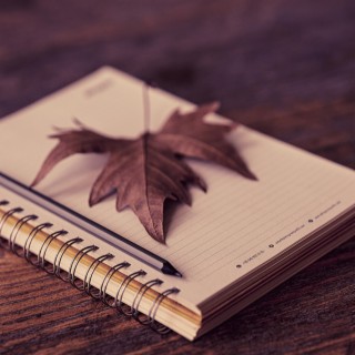 Autumn's Diary