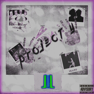 Project Y