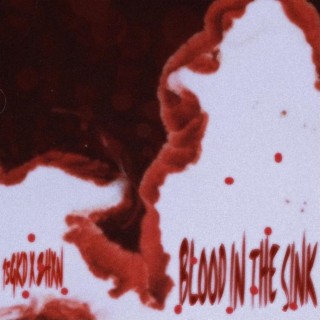 Blood In The Sink