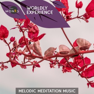 Worldly Experience - Melodic Meditation Music