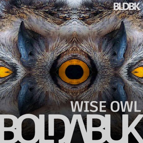 Wise Owl | Boomplay Music