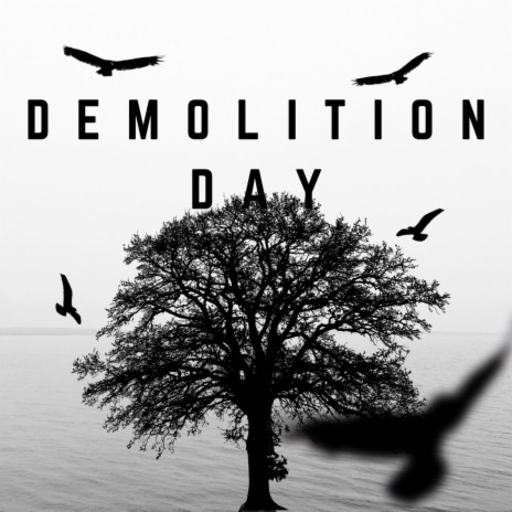 Demolition Day | Boomplay Music