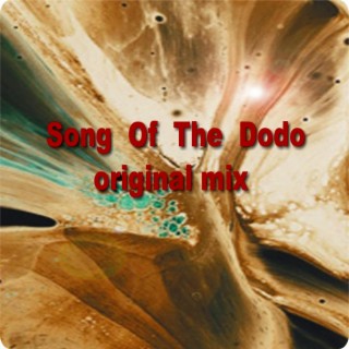 Song Of The Dodo original mix