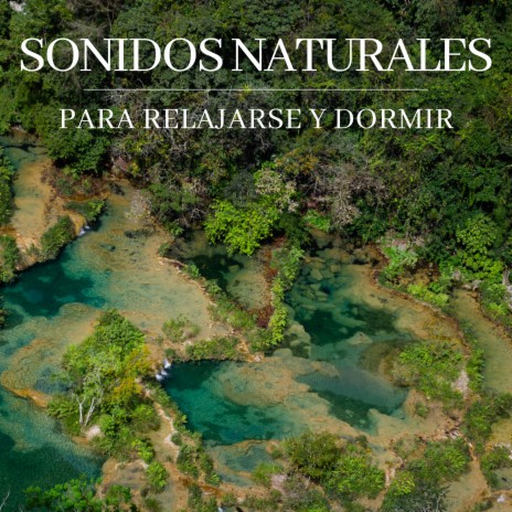 Sonidos Naturales para Relajarse y Dormir ft. Schola Camerata | Boomplay Music