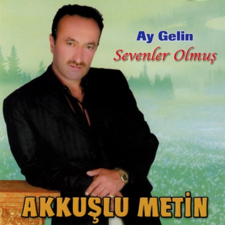 Sevenler Olmuş | Boomplay Music