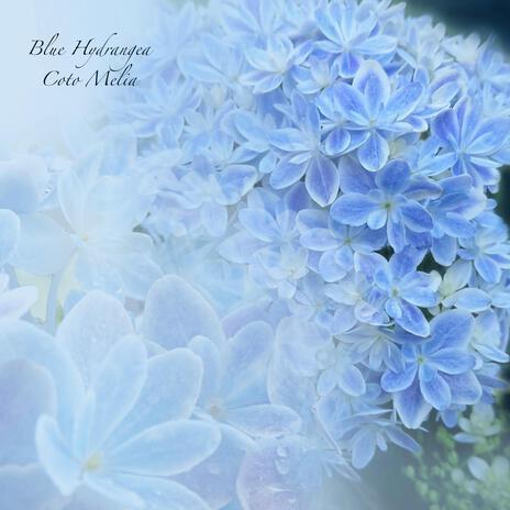 Blue Hydrangea | Boomplay Music