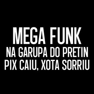 MEGA FUNK NA GARUPA DO PRETIN x PIX CAIU XOTA SORRIU