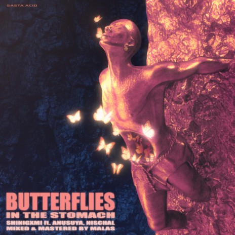 BUTTERFLIES IN THE STOMACH (feat. Anusuya & Nischal Chaubey) | Boomplay Music