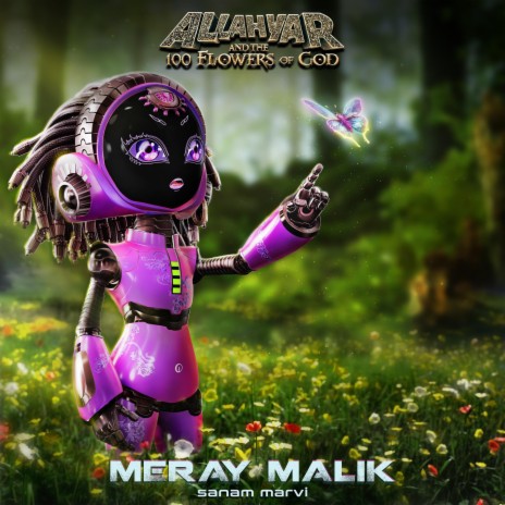 Meray Malik | Boomplay Music
