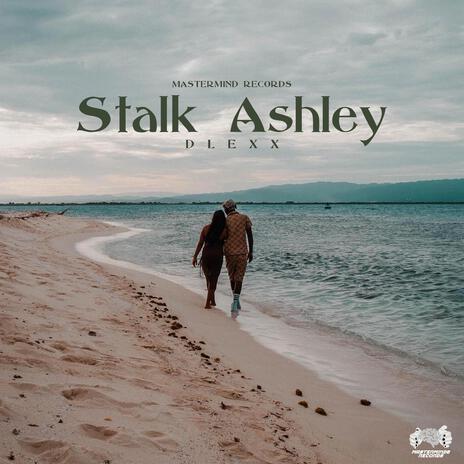 Stalk Ashley | Boomplay Music