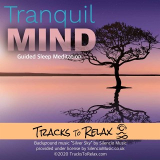Tranquil Mind Sleep Meditation