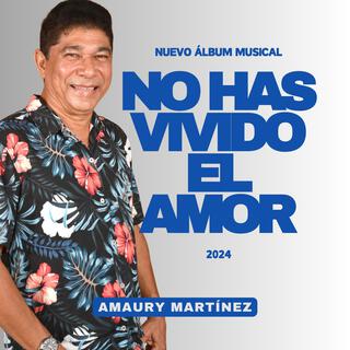 No has vivido el amor. lyrics | Boomplay Music