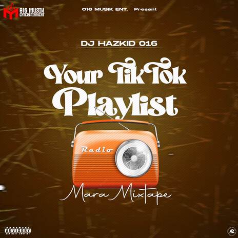 YOUR TIKTOK PLAYLIST (VOL.9) ft. DJ Harzkid 016 & DJ Haz Kid | Boomplay Music