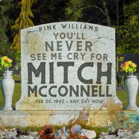 You'll Never See Me Cry For Mitch McConnell | Boomplay Music