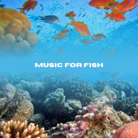 Aquarium Music | Boomplay Music