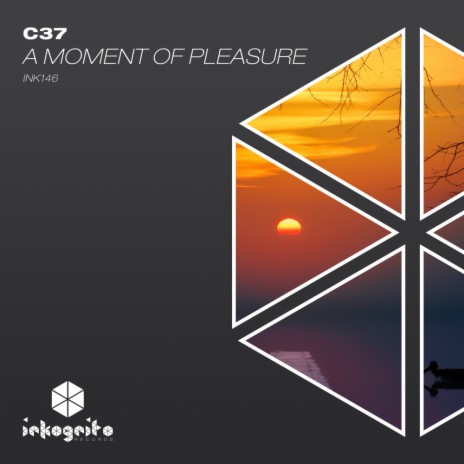 A Moment Of Pleasure | Boomplay Music