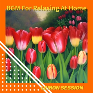 BGM For Relaxing At Home