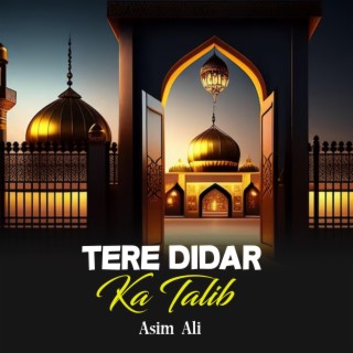 Tere Didar Ka Talib