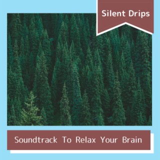 Soundtrack To Relax Your Brain